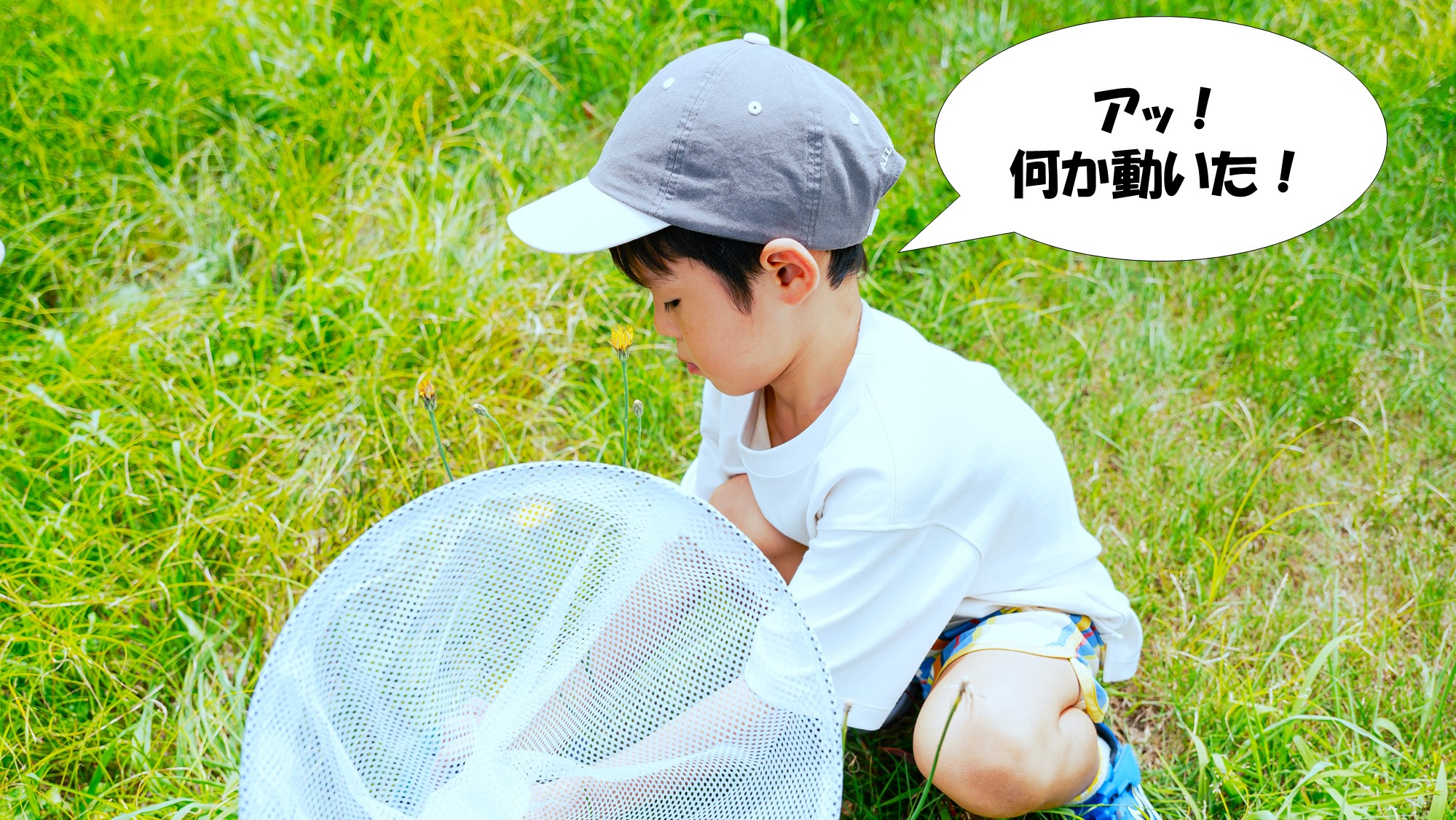 大空と風と虫取り網、全部が冒険のステージ。③