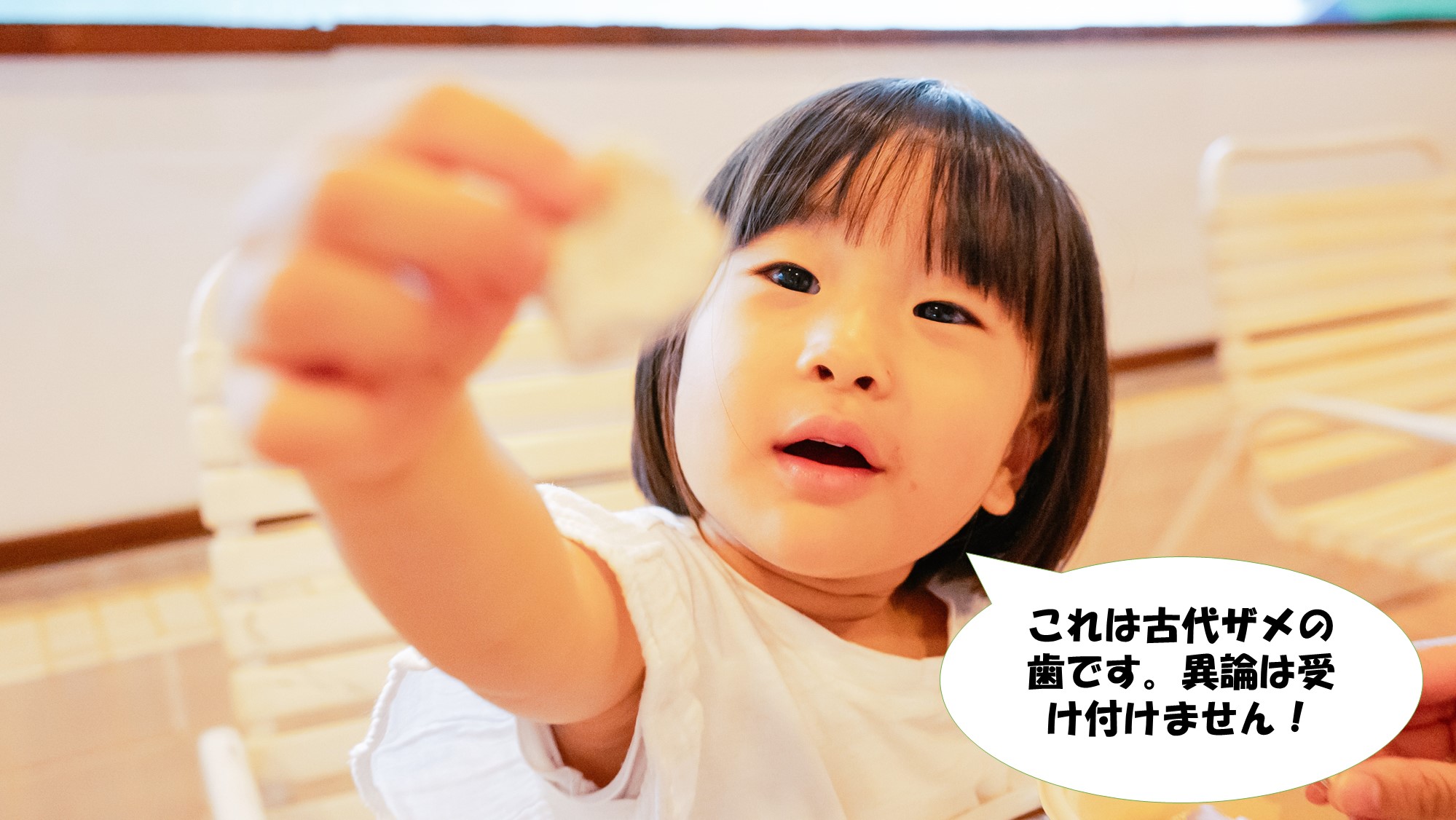 見つけた瞬間、正体不明でもその独特な形はサメの歯で確定！③