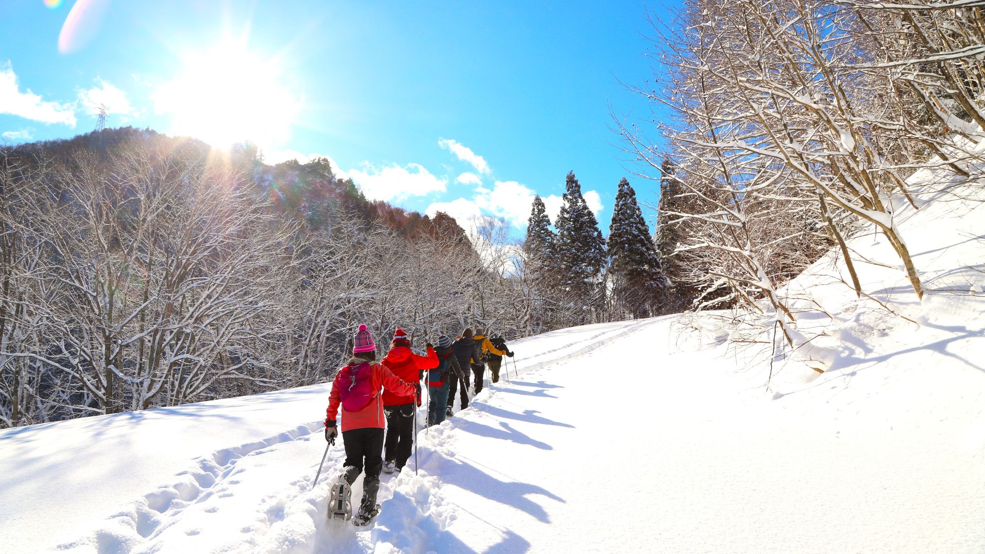 新雪を踏みしめ、仲間と冬景色を満喫。静寂の森を歩くスノーシューの醍醐味を、皆で存分に味わいましょう。