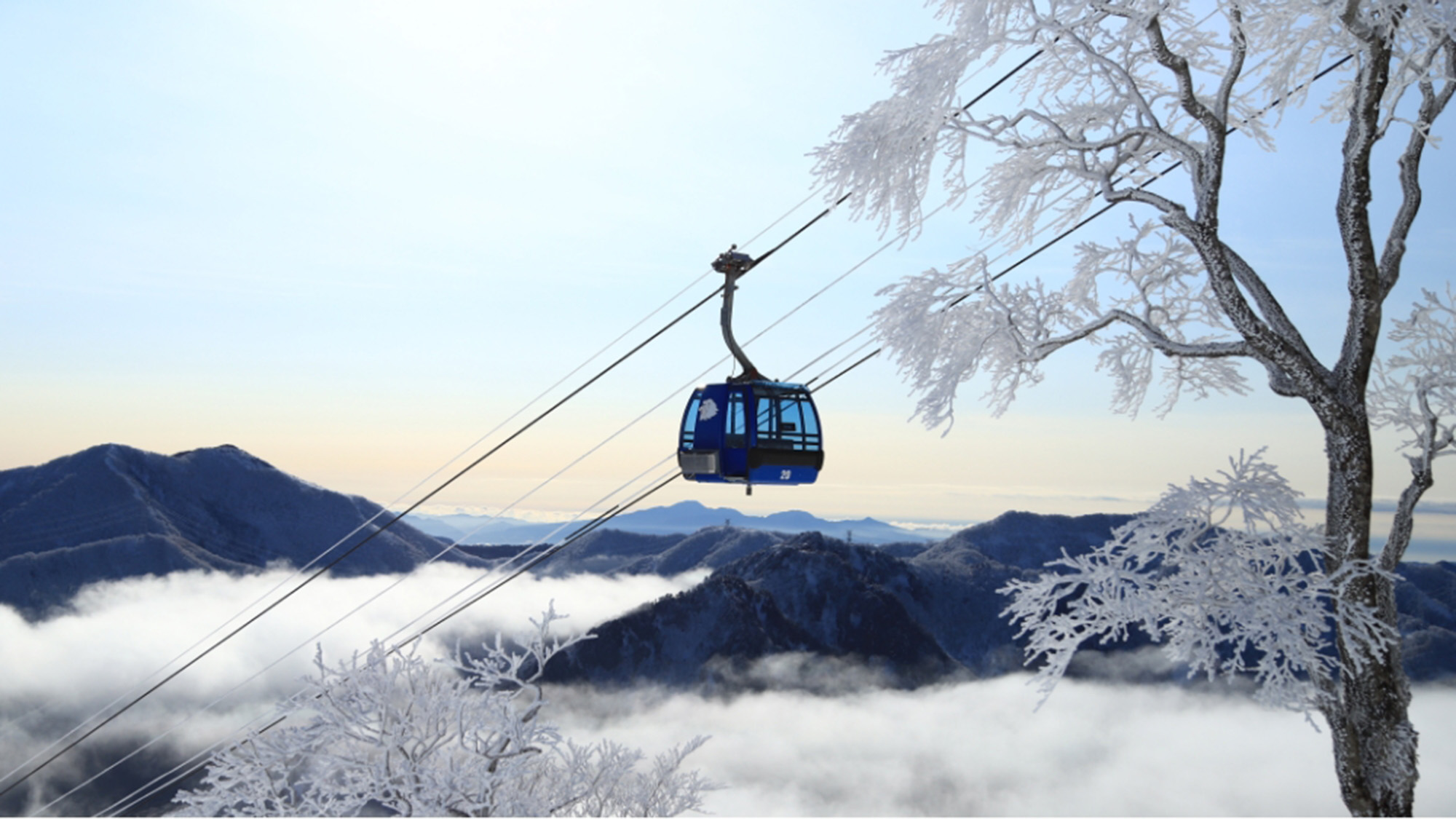 冬のドラゴンドラで絶景体験