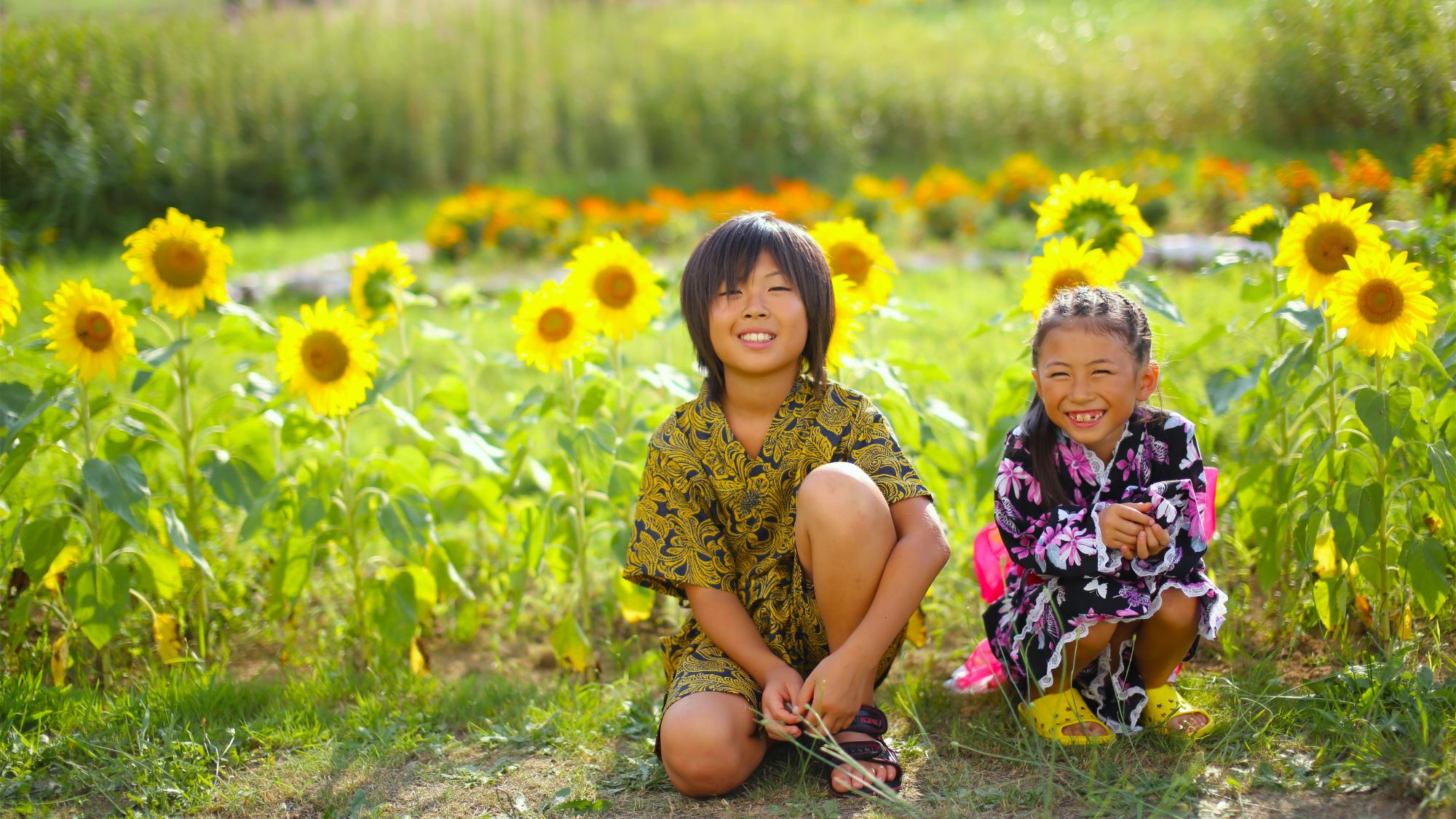 夏の日差しとひまわりに負けない、最高の笑顔を切り取って。①