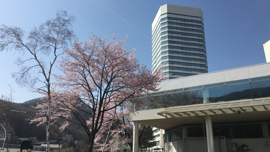 桜とホテル