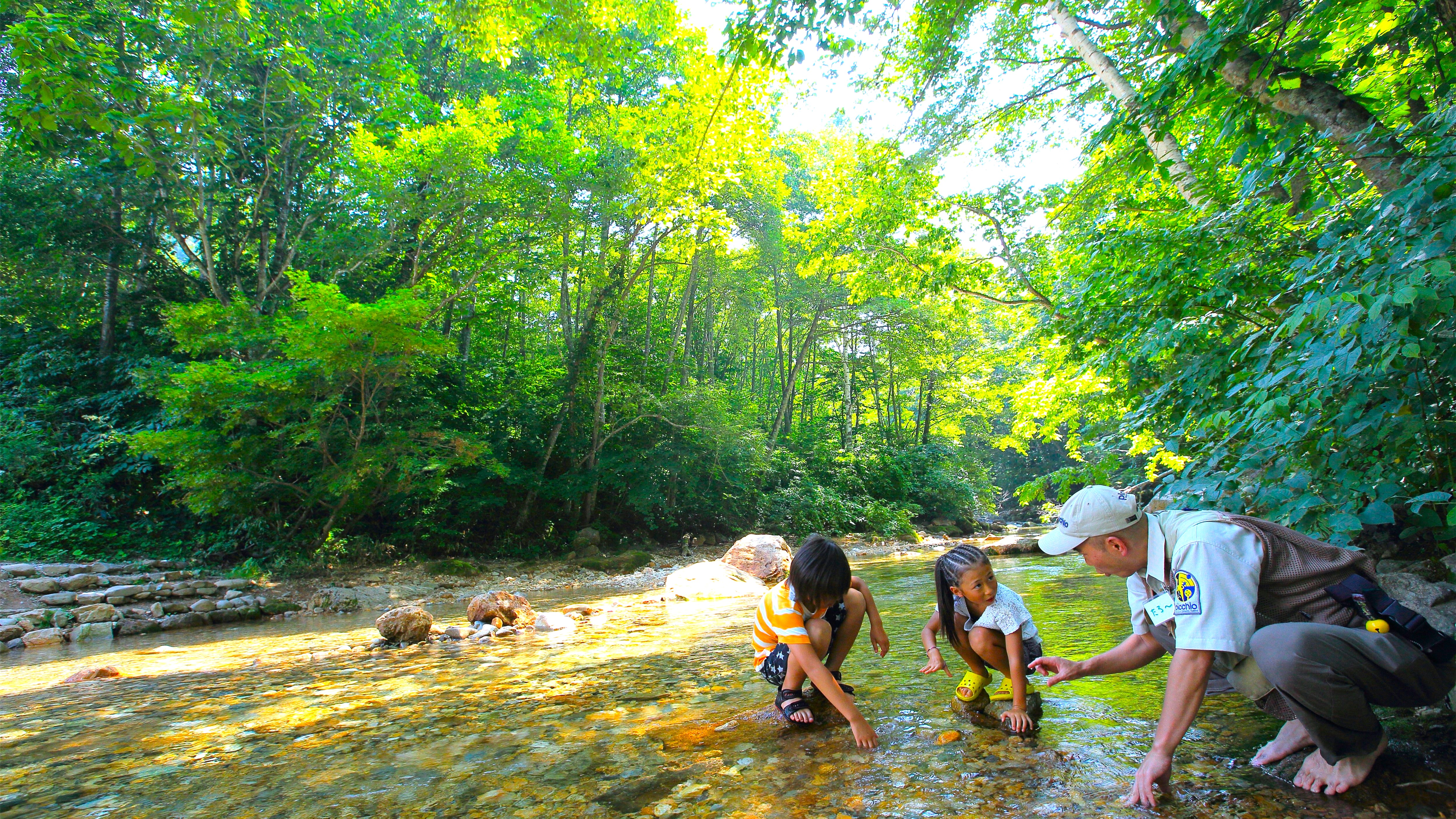 夏の川は、きらめく宝箱。色んな虫たちが、君との出会いを待っている。①