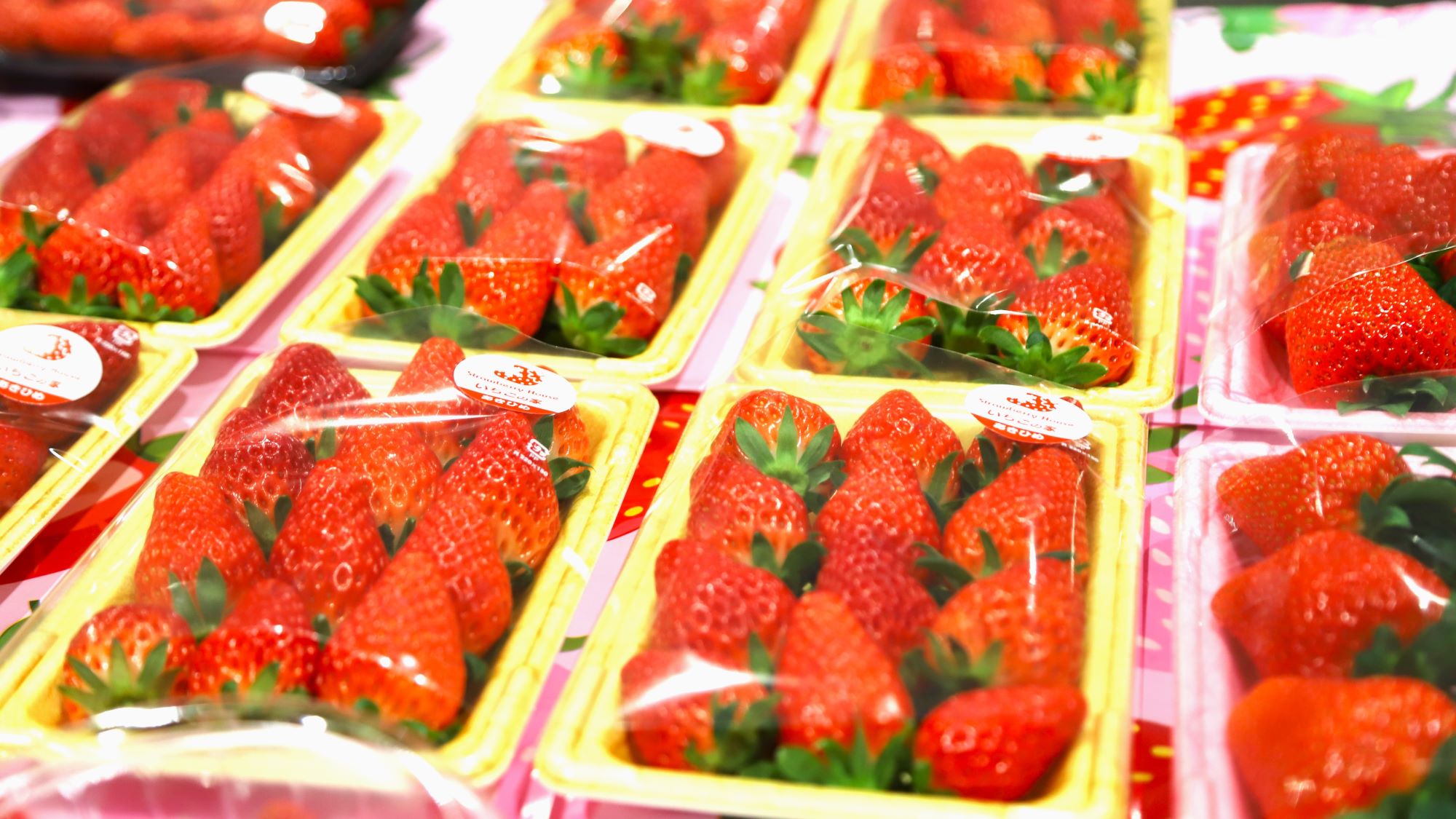 いちごランチ＆スイーツ！アゼリアで3/2~3/8の11:30A.M.～2:00P.M.限定。