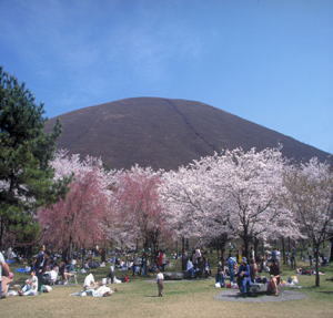 伊東温泉　音無の森　緑風園 - 写真 146