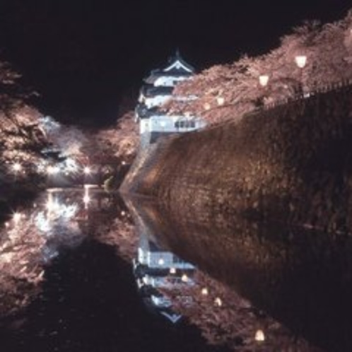 弘前公園夜桜（北の郭から天守）