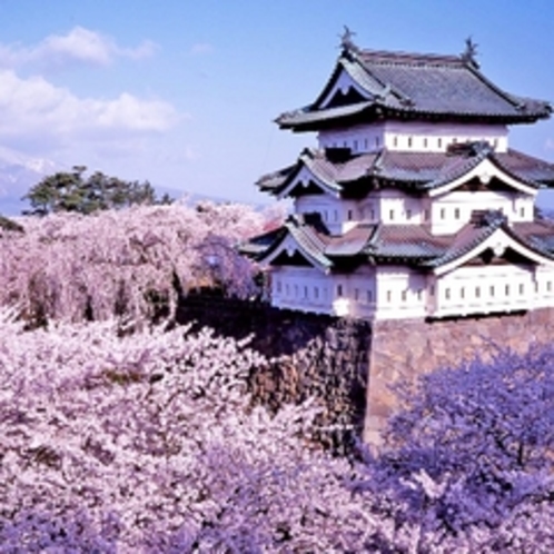 弘前公園桜