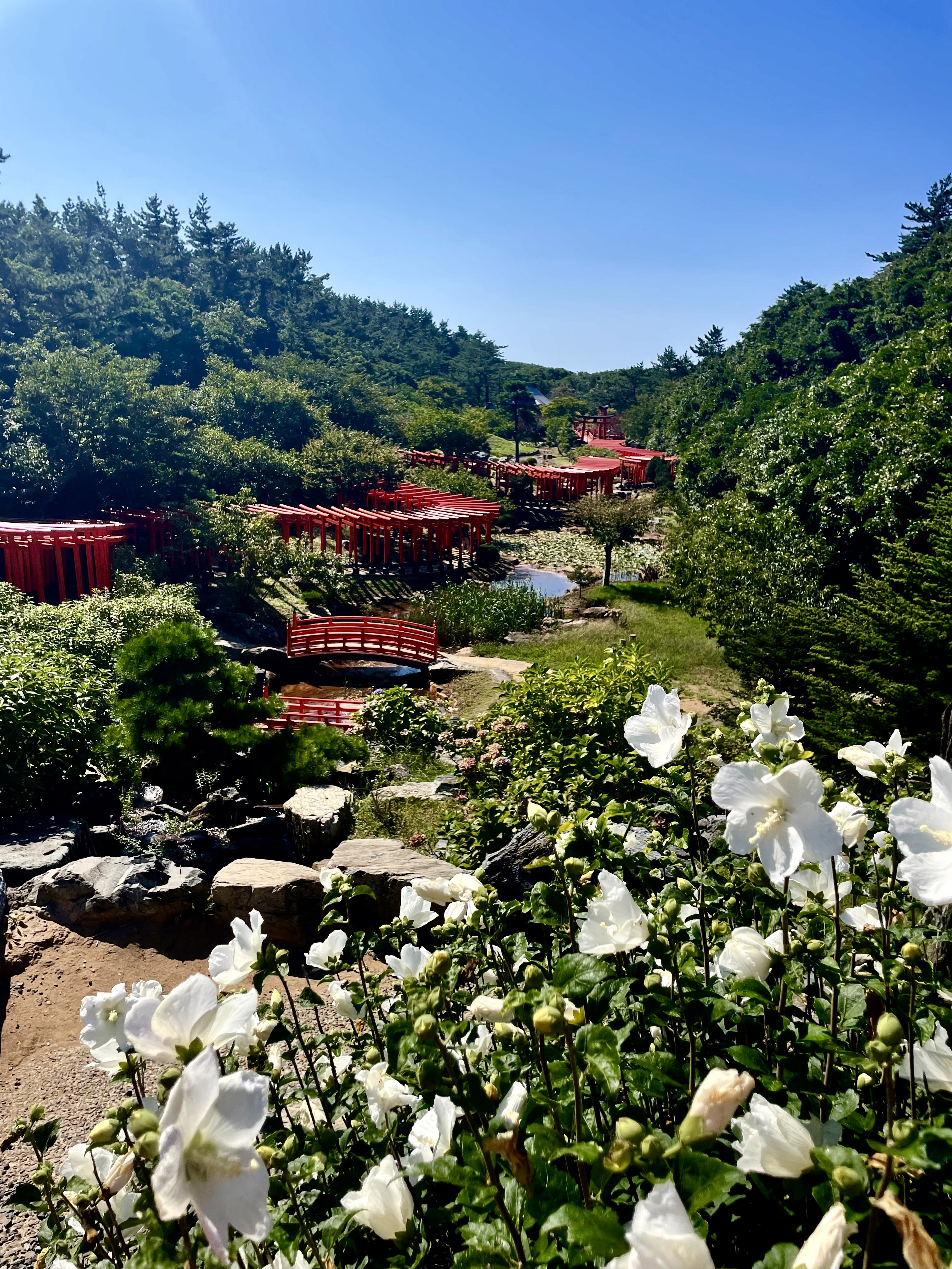 高山稲荷神社