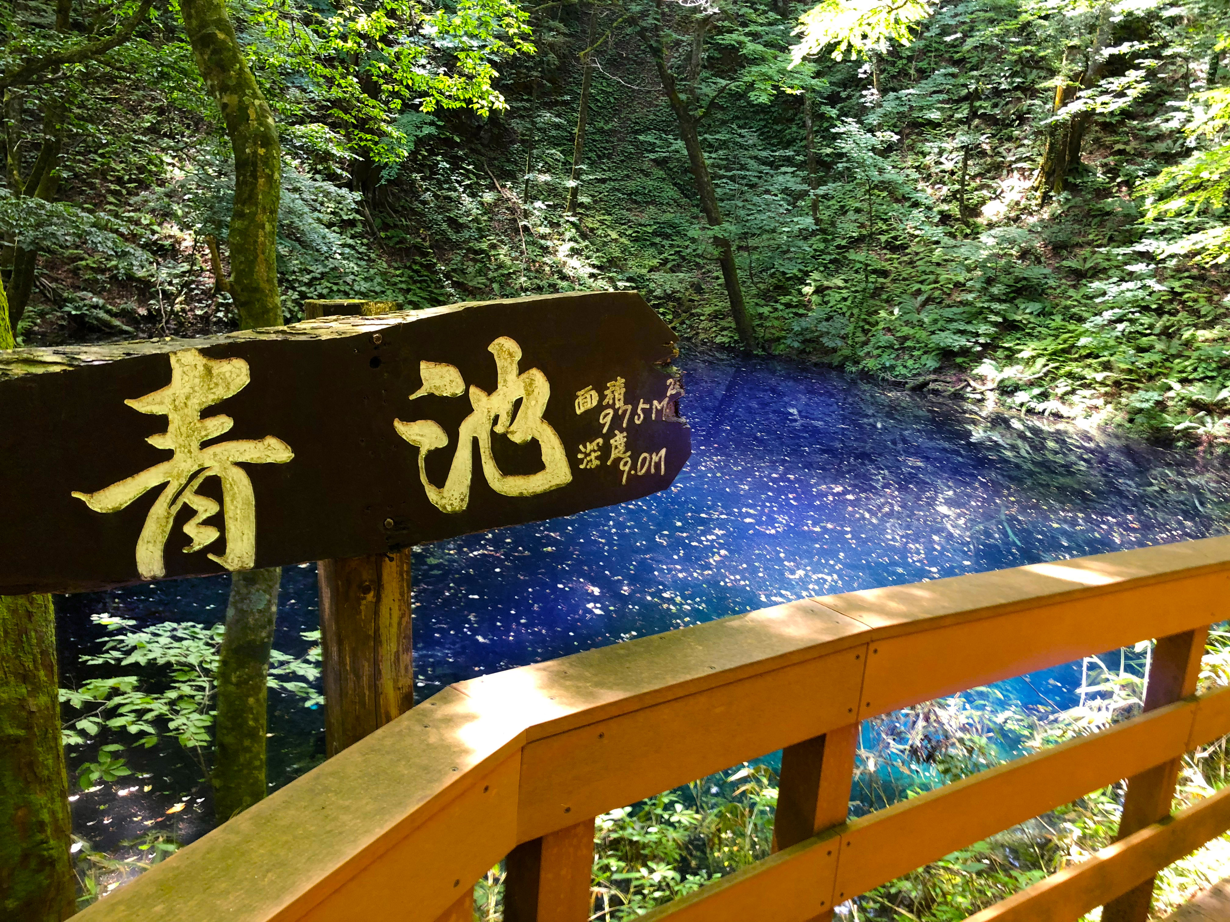 青池