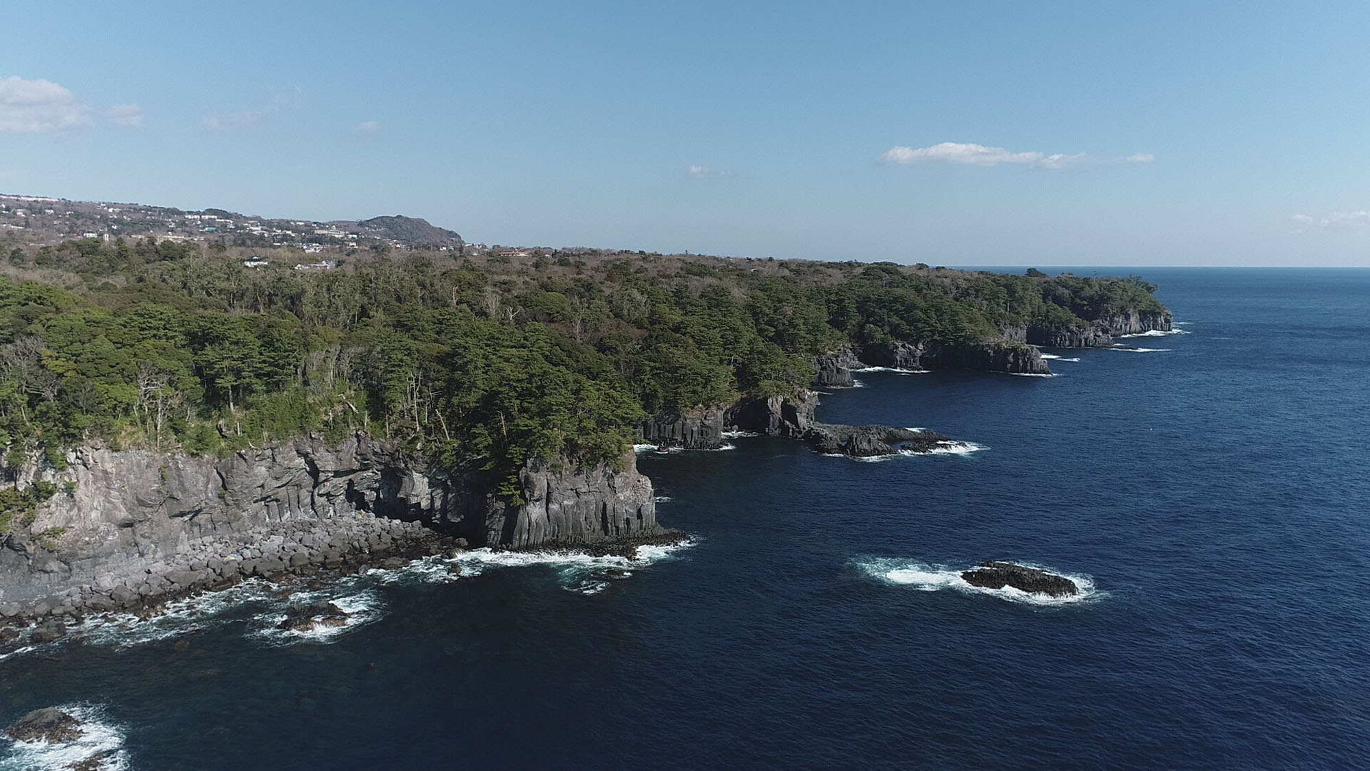 城ケ崎海岸*