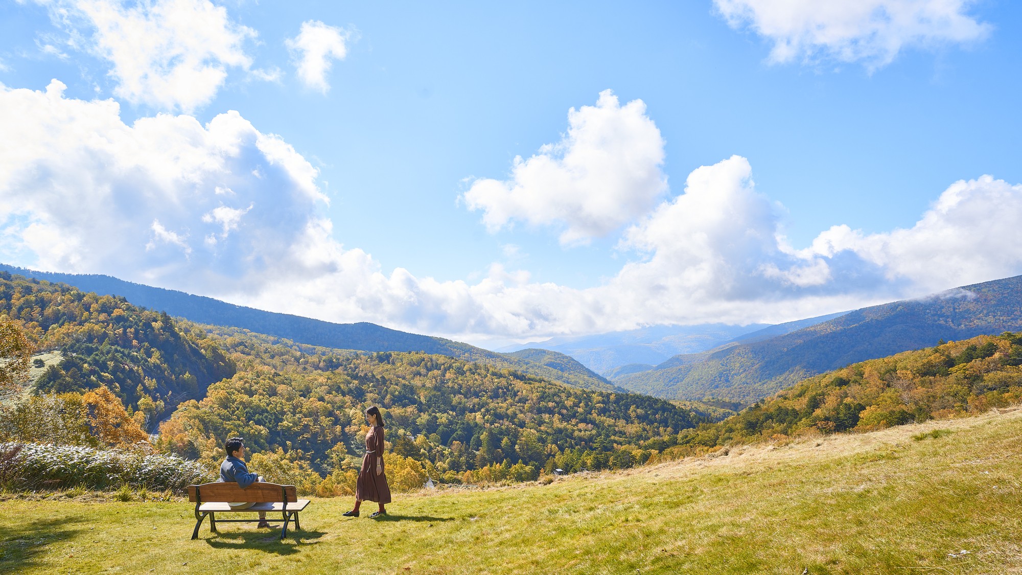 ダケカンバやカラマツが輝く黄金色の万座の秋。