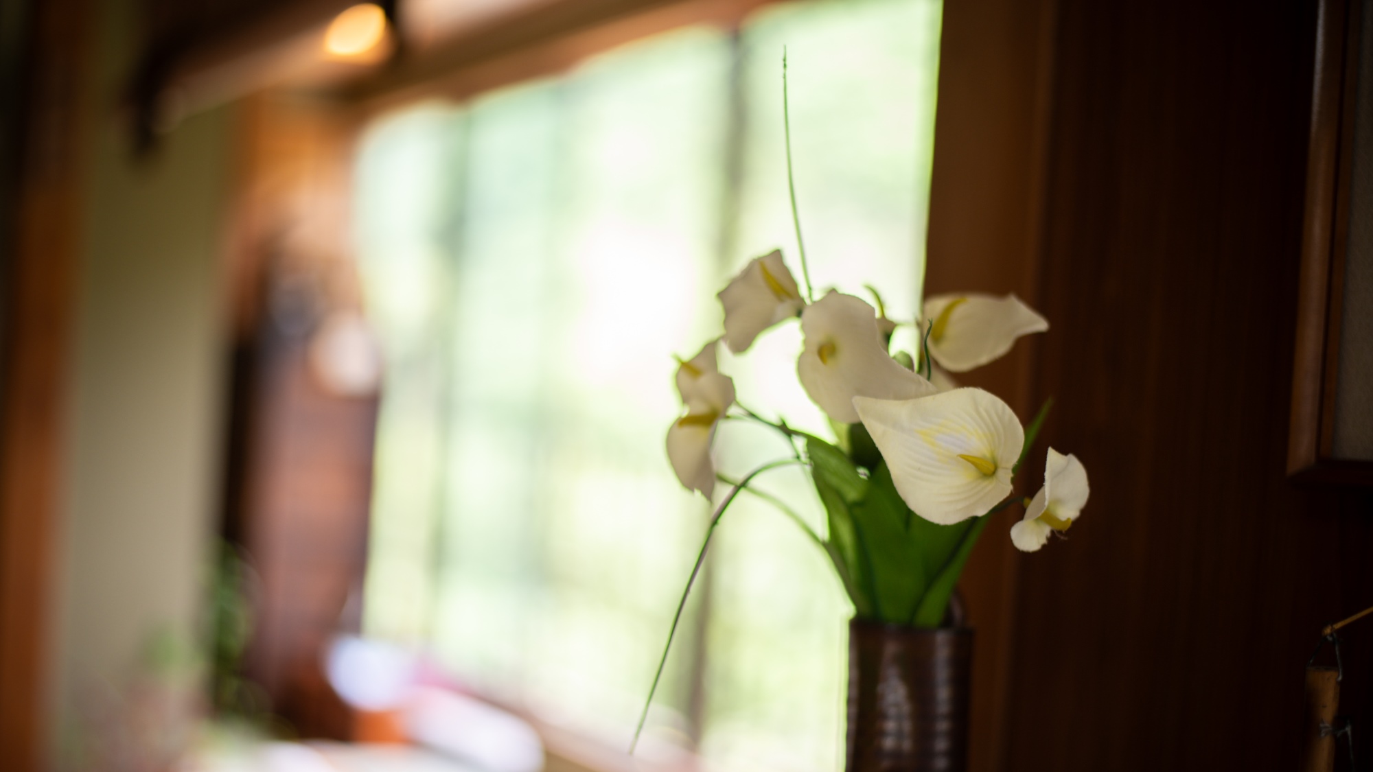 【館内】館内にある季節のお花もご覧くださいませ