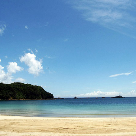 伊鈴荘 宿泊予約 楽天トラベル 伊鈴荘 宿泊予約 楽天トラベル