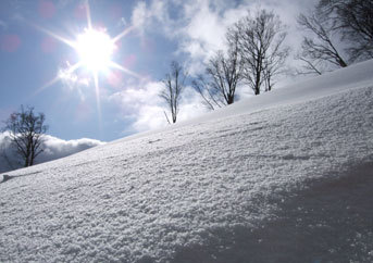 TOP_커스터마이즈_방울석 스키장