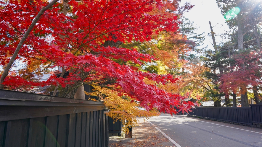 【武家屋敷】江戸時代末期時の町並みが残る角館の武家屋敷通り。春は桜、秋は紅葉も見頃となります。
