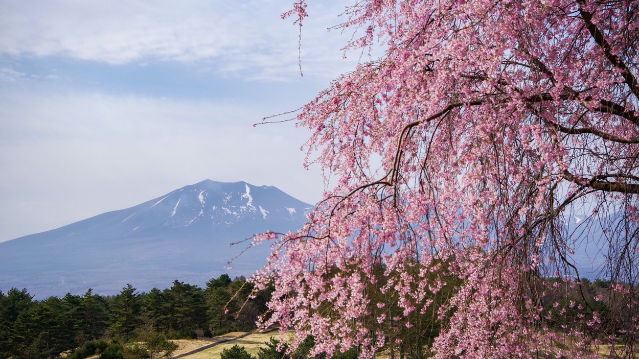 【新春SALE】高原の爽やかな空気と浅間山の絶景を楽しむ＜室料のみ＞