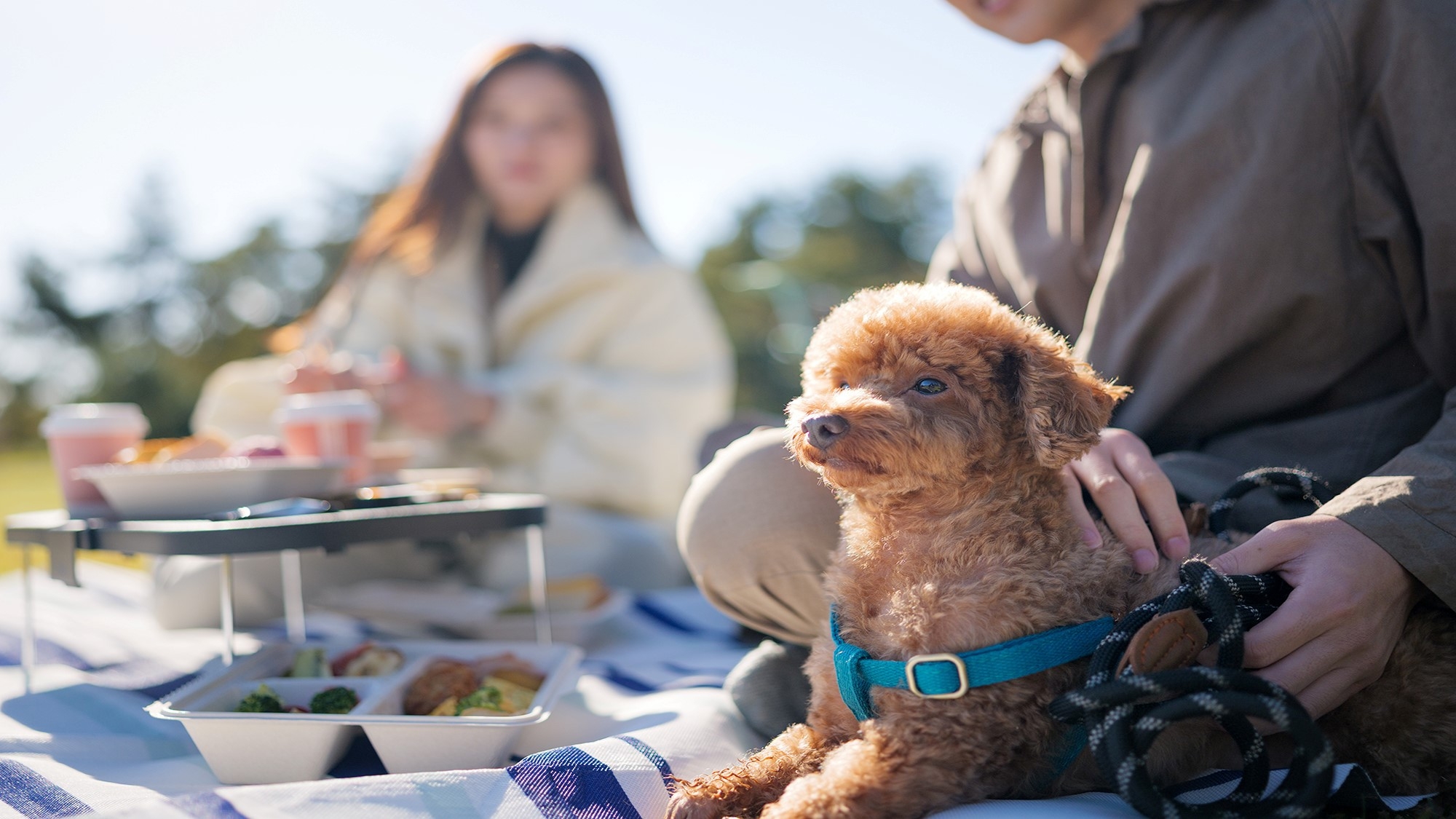 【ワンちゃんと一緒に高原ステイ】ドッグフレンドリールーム宿泊プラン＜夕朝食付き＞