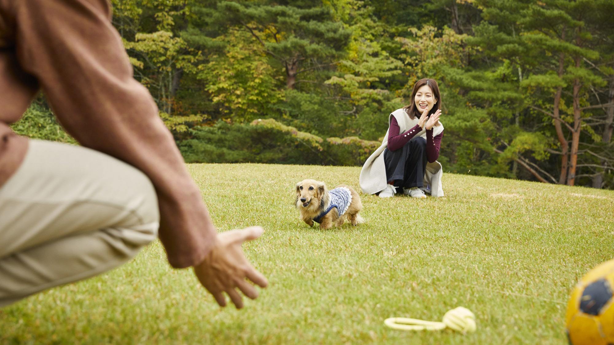 【ワンちゃんと一緒に高原ステイ】ドッグフレンドリールーム宿泊プラン＜夕朝食付き＞
