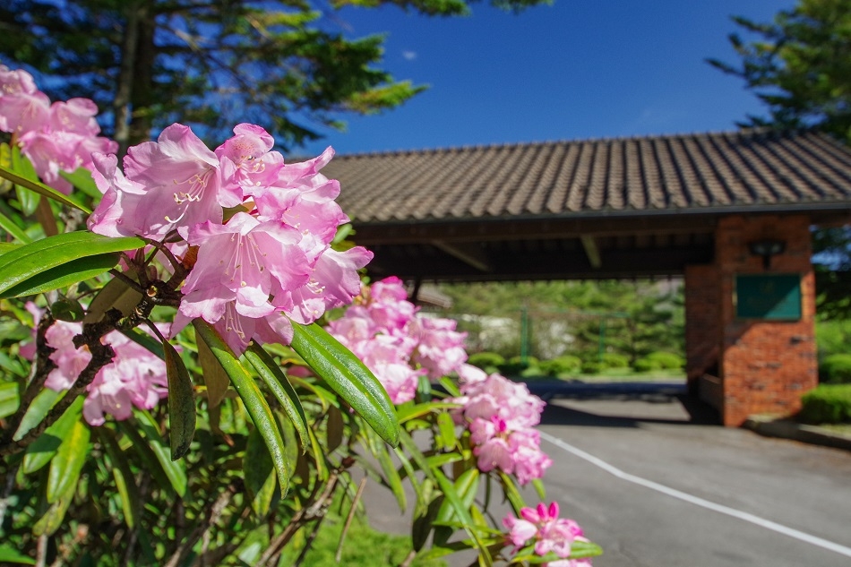 【30％OFF】【楽天スーパーSALE】標高1，100ｍの高原の風と浅間山の絶景を楽しむ＜室料のみ＞