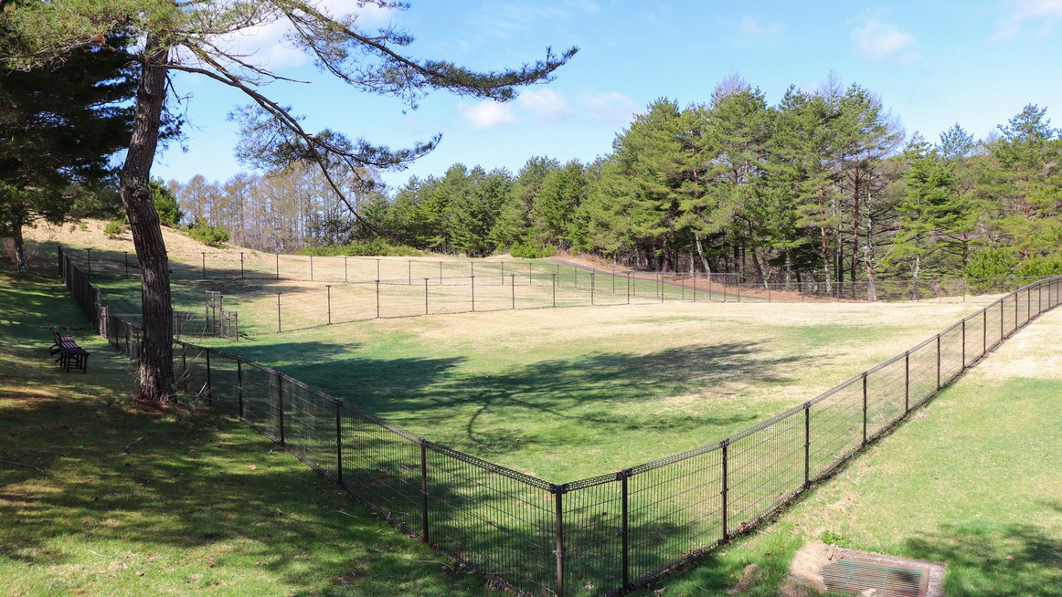 【ワンちゃんと一緒に高原ステイ】ドッグフレンドリールーム宿泊プラン＜室料のみ＞