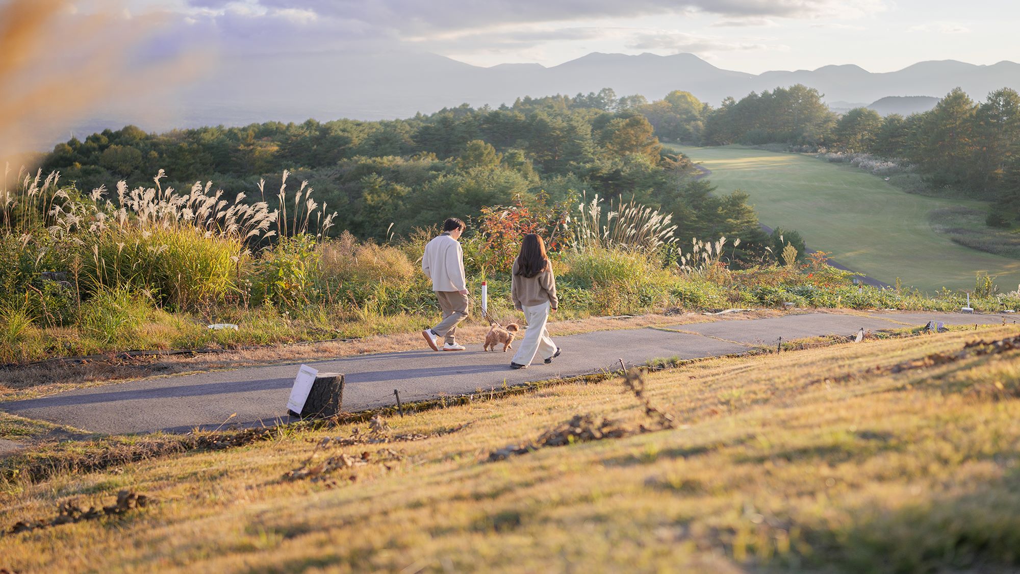 【遊歩道】ワンちゃんと歩幅を合わせて歩く幸せ