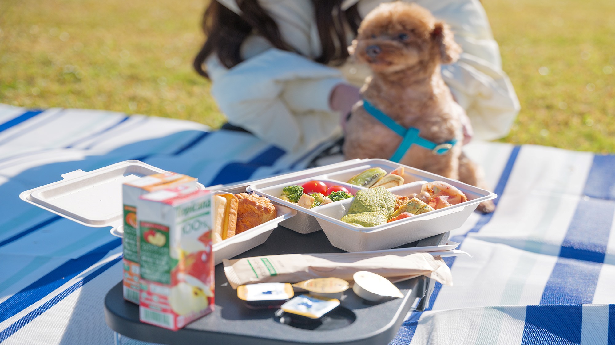 【ワンちゃんとピクニック】お留守番の寂しさを、最高の思い出に塗り替える休日に