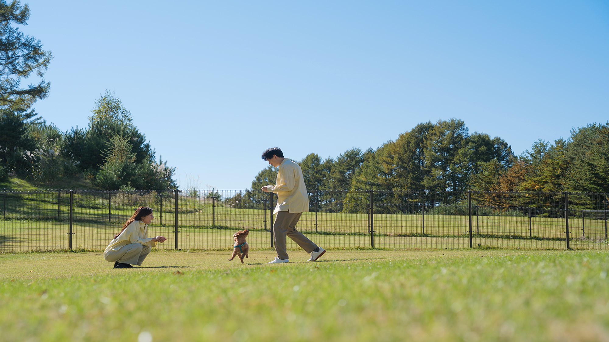 【ドッグラン】約1,000㎡のドッグラン。愛犬の心も、高く、弾む