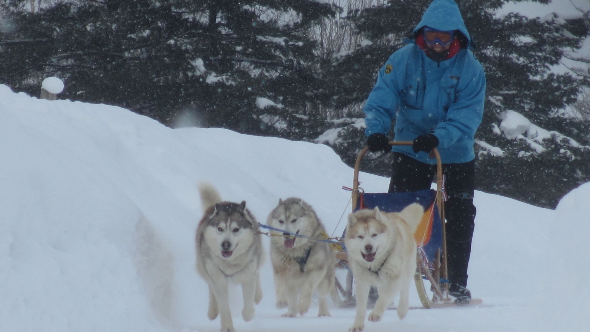 冬体験♪　食べて遊んではしゃぐ！エンジョイクーポン6枚付き〜朝食＆温泉付