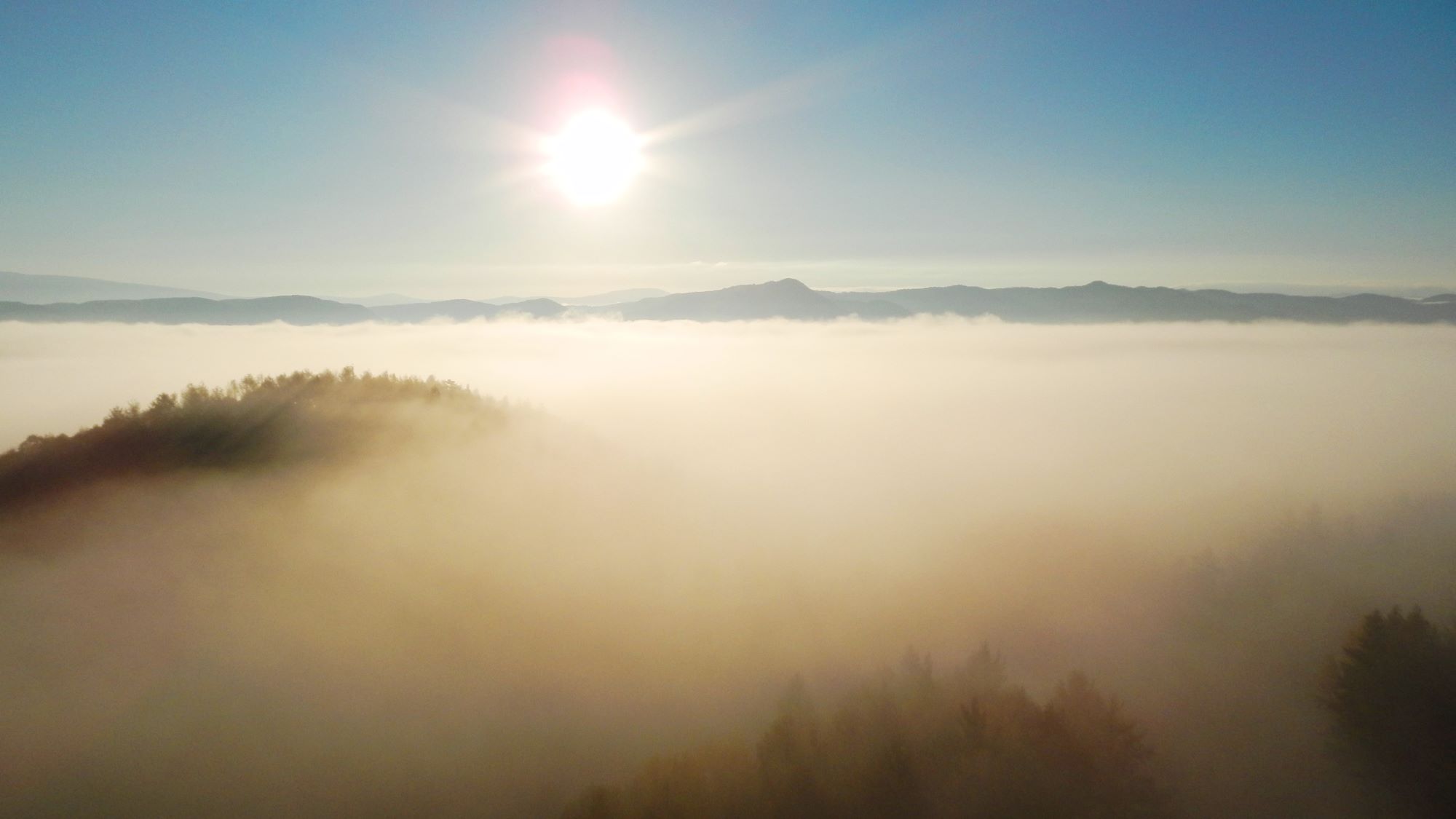 客室からの絶景