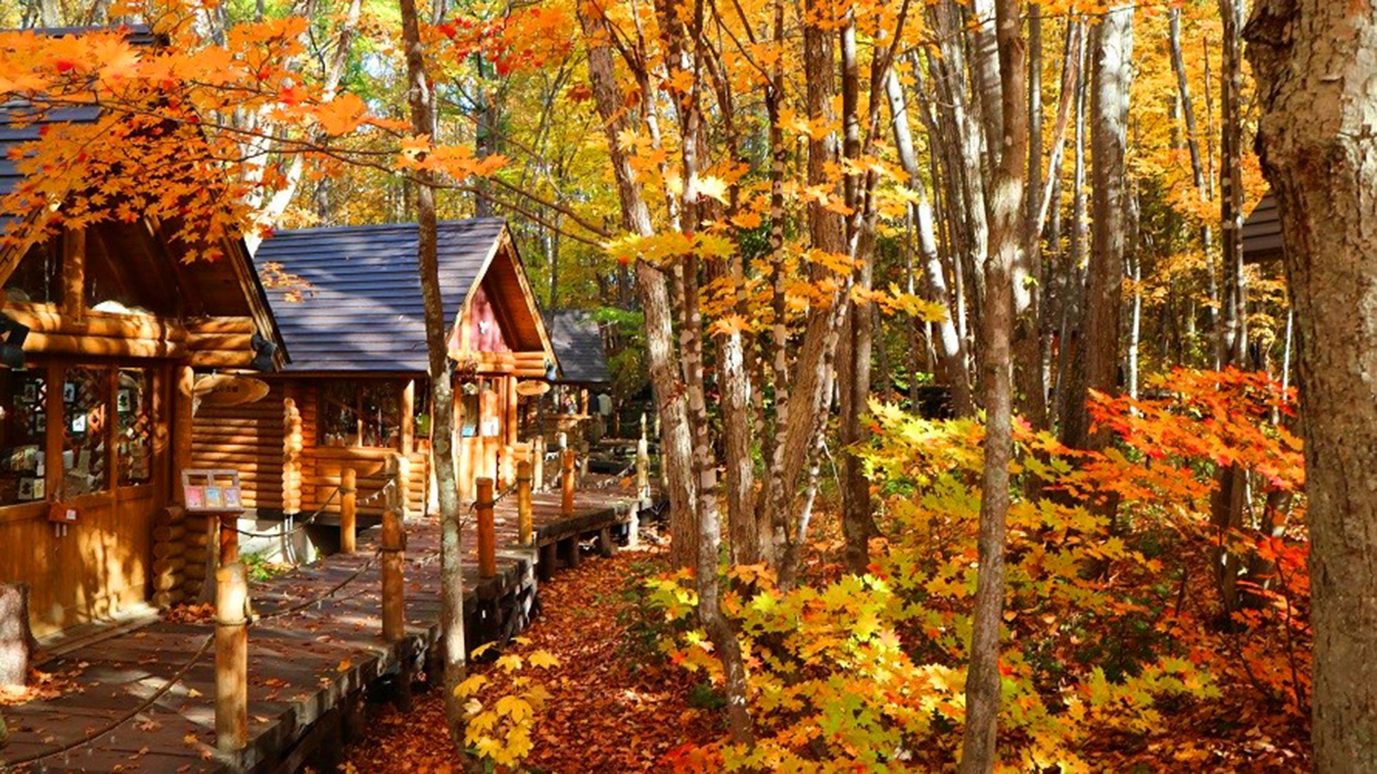 秋のニングルテラス