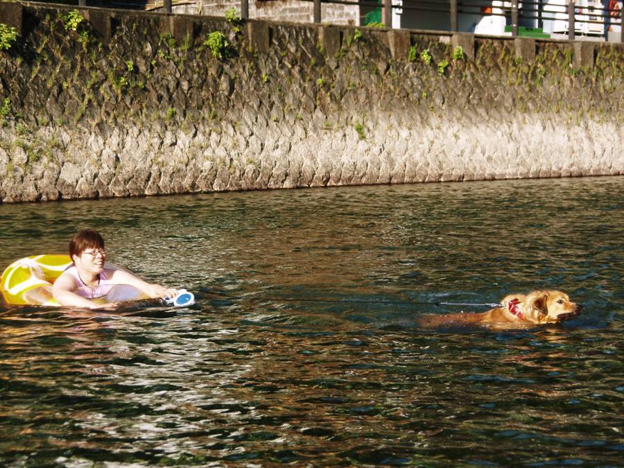 写真1