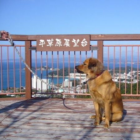 写真4