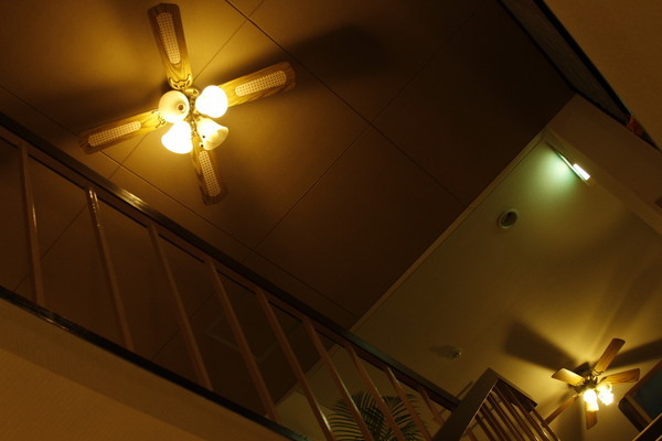 写真1