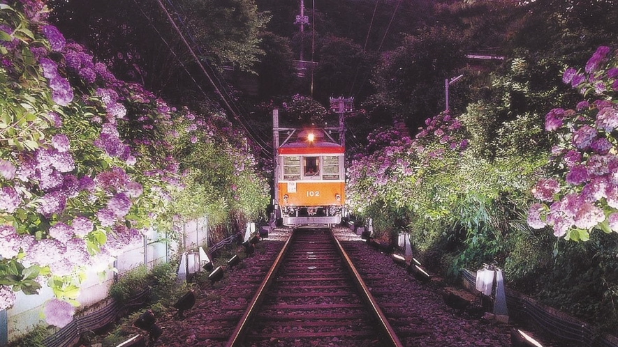 ライトアップされた幻想的な夜のあじさい号。