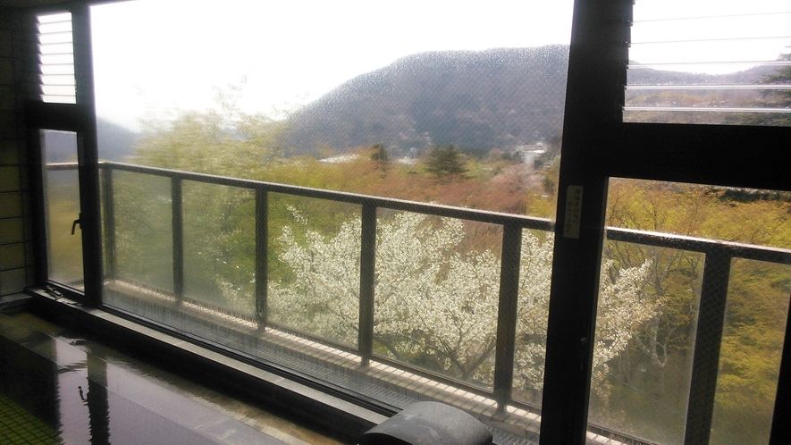 【大浴場／早春】大浴場の窓からは、隣接する強羅公園に咲く、様々なお花をご覧いただけます。