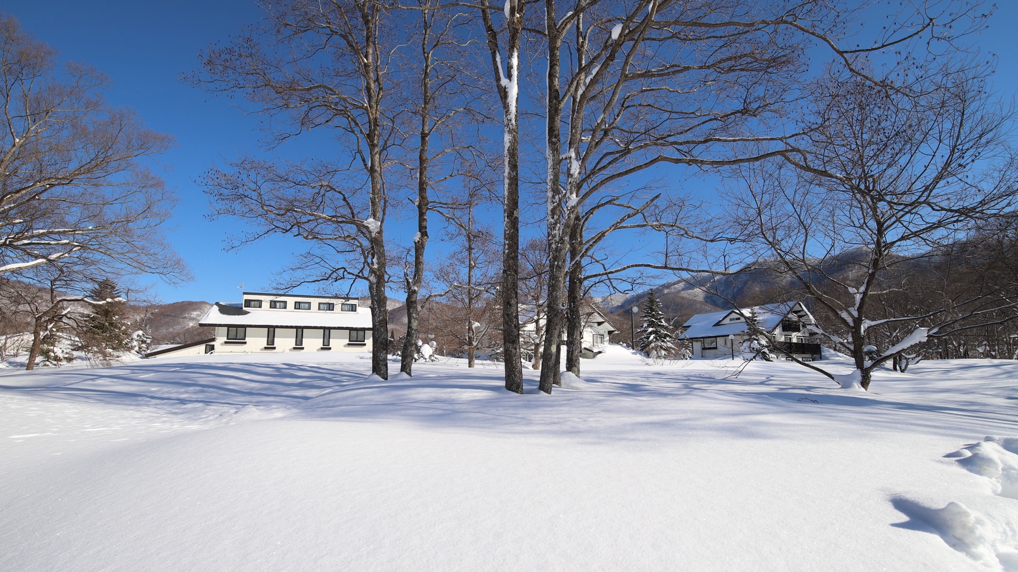 Ｌａｋｅｓｉｄｅ　Ｈｏｔｅｌｓ　Ｋｕｏｒｅ／湖畔のホテルクオレ
