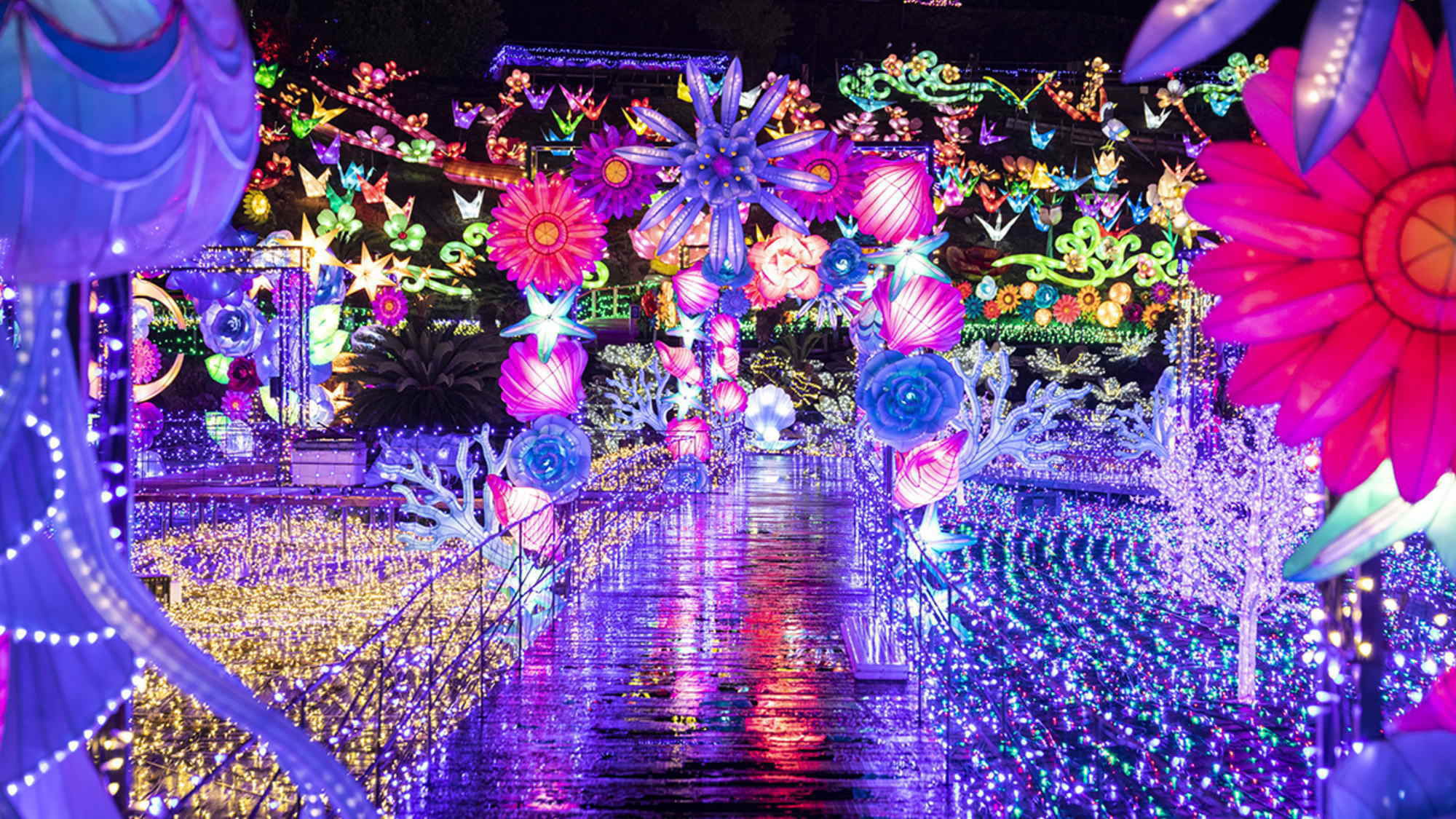 【グランイルミ入園券付きプラン】〈素泊り〉体験型イルミネーションを楽しむ