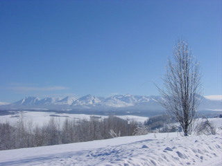 冬の丘１