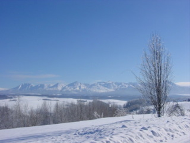 冬の丘１