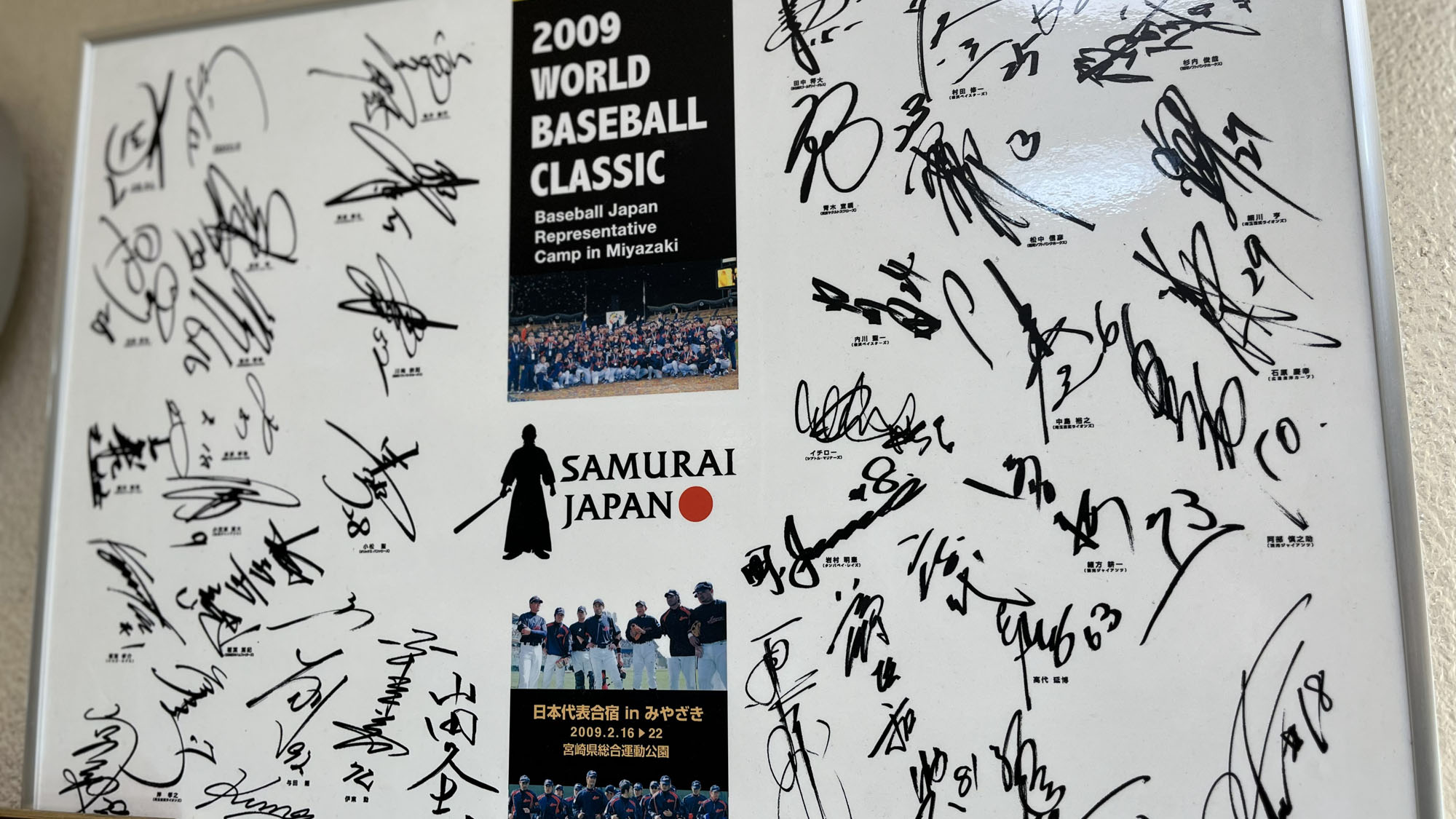 宮崎と言ったらプロ野球キャンプ！