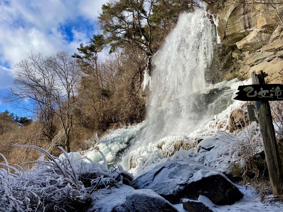 直前プラン　ぼたん鍋スタンダード　貸切温泉無料　現金決済