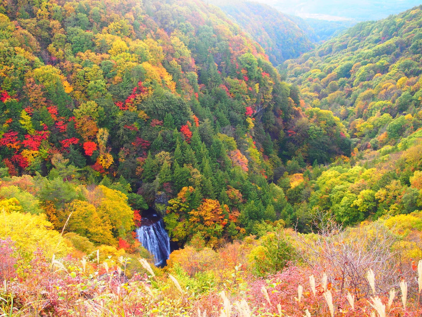 秋は感動の紅葉　蓼科高原へ　ジビエ牡丹鍋コース　貸切温泉無料　　