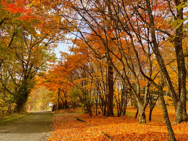 紅葉　大東園散歩道