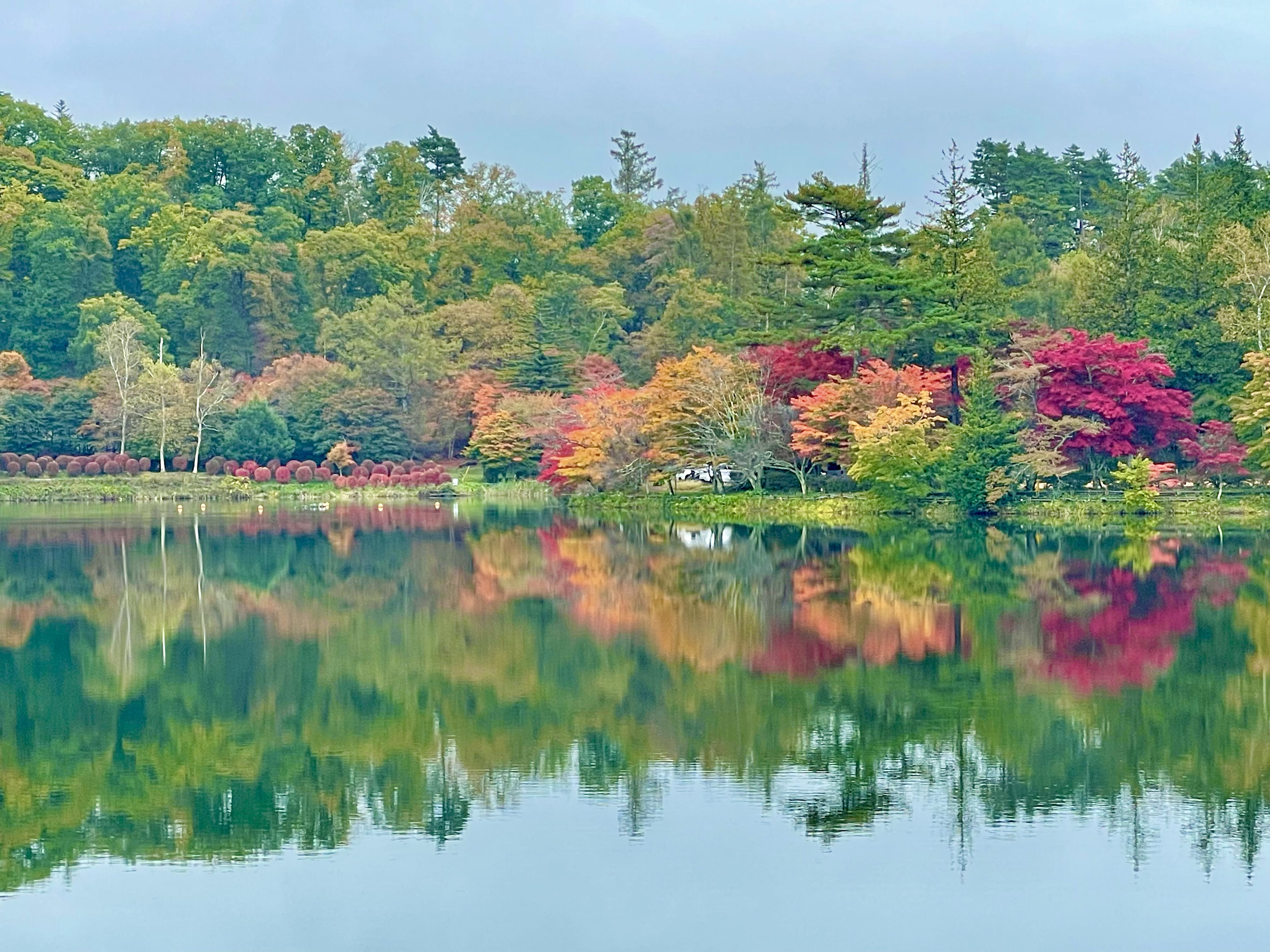 蓼科湖