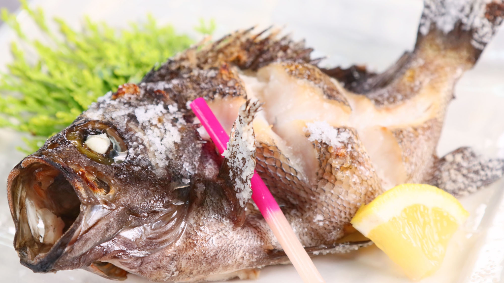 ソフトドリンク1杯サービス◆『 海幸 』 スタンダード◆旬魚刺身＆タコ丸茹で！-特典付-