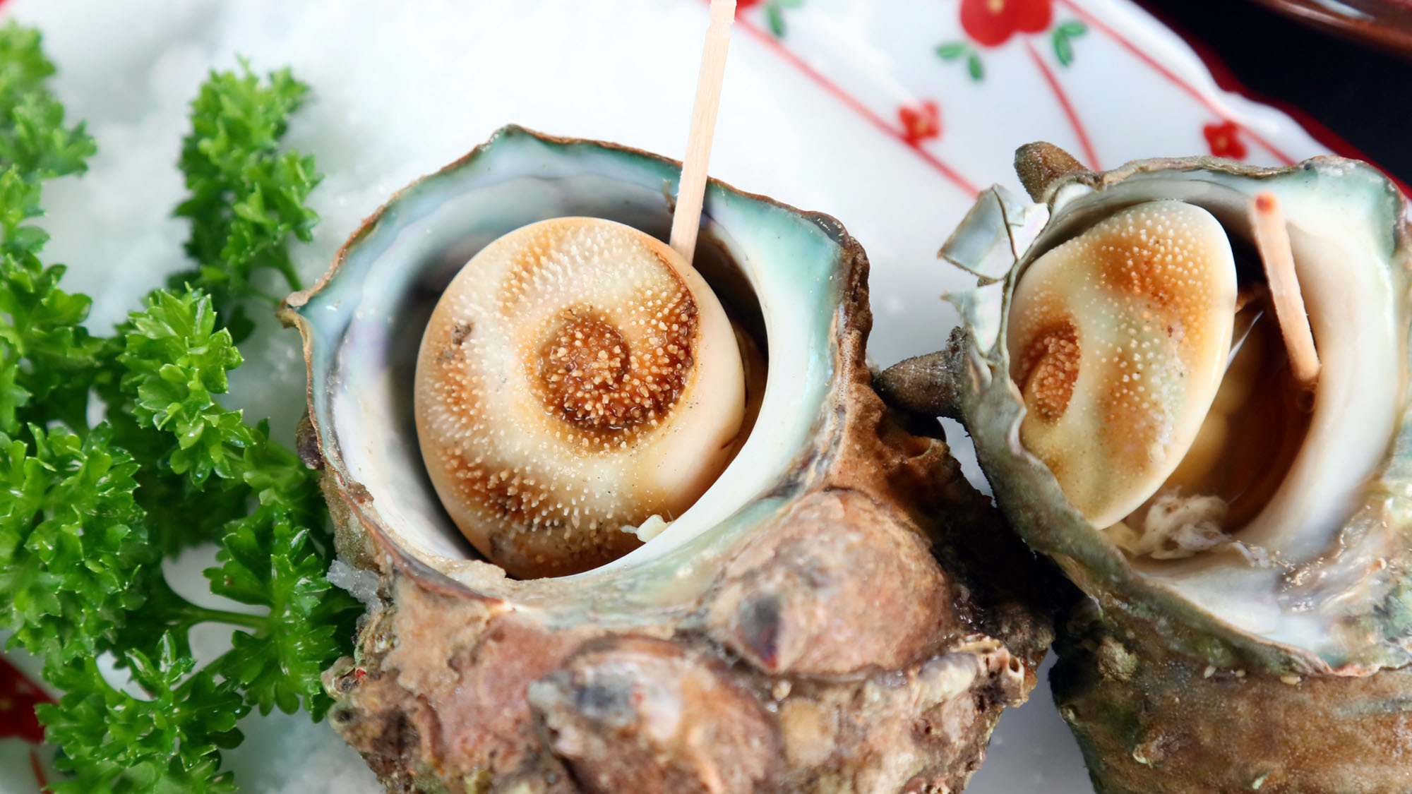グループ割引◆最大600円お得！『 海幸 』 スタンダード◆旬魚刺身＆タコ丸茹で！