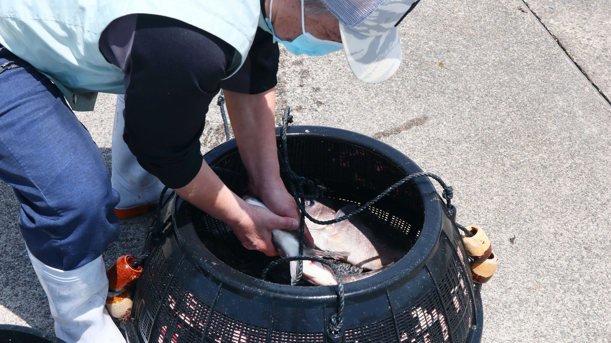 市場直仕入れのため新鮮なままご提供します！