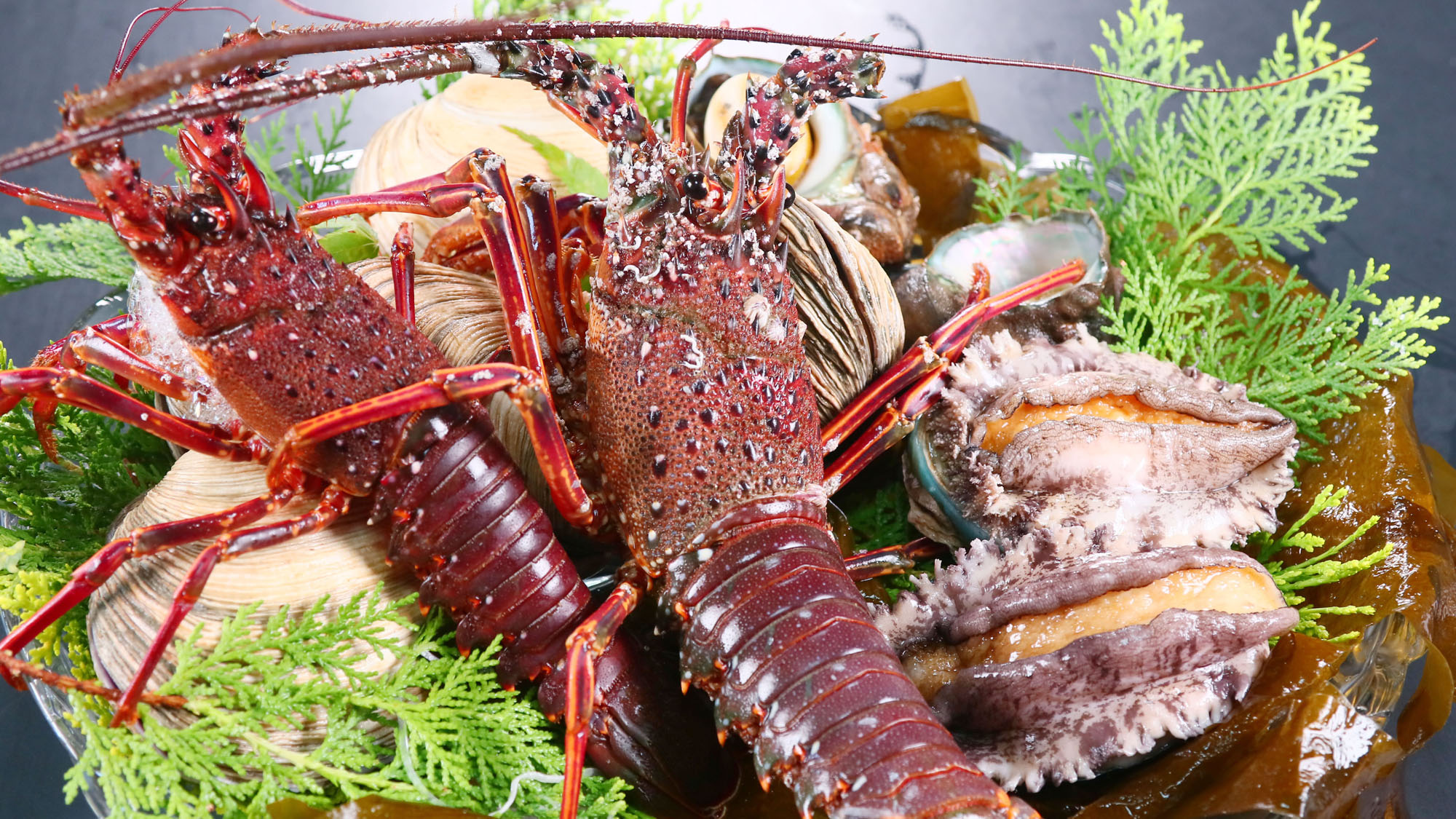 新鮮素材◆豪華食材もありますよ～