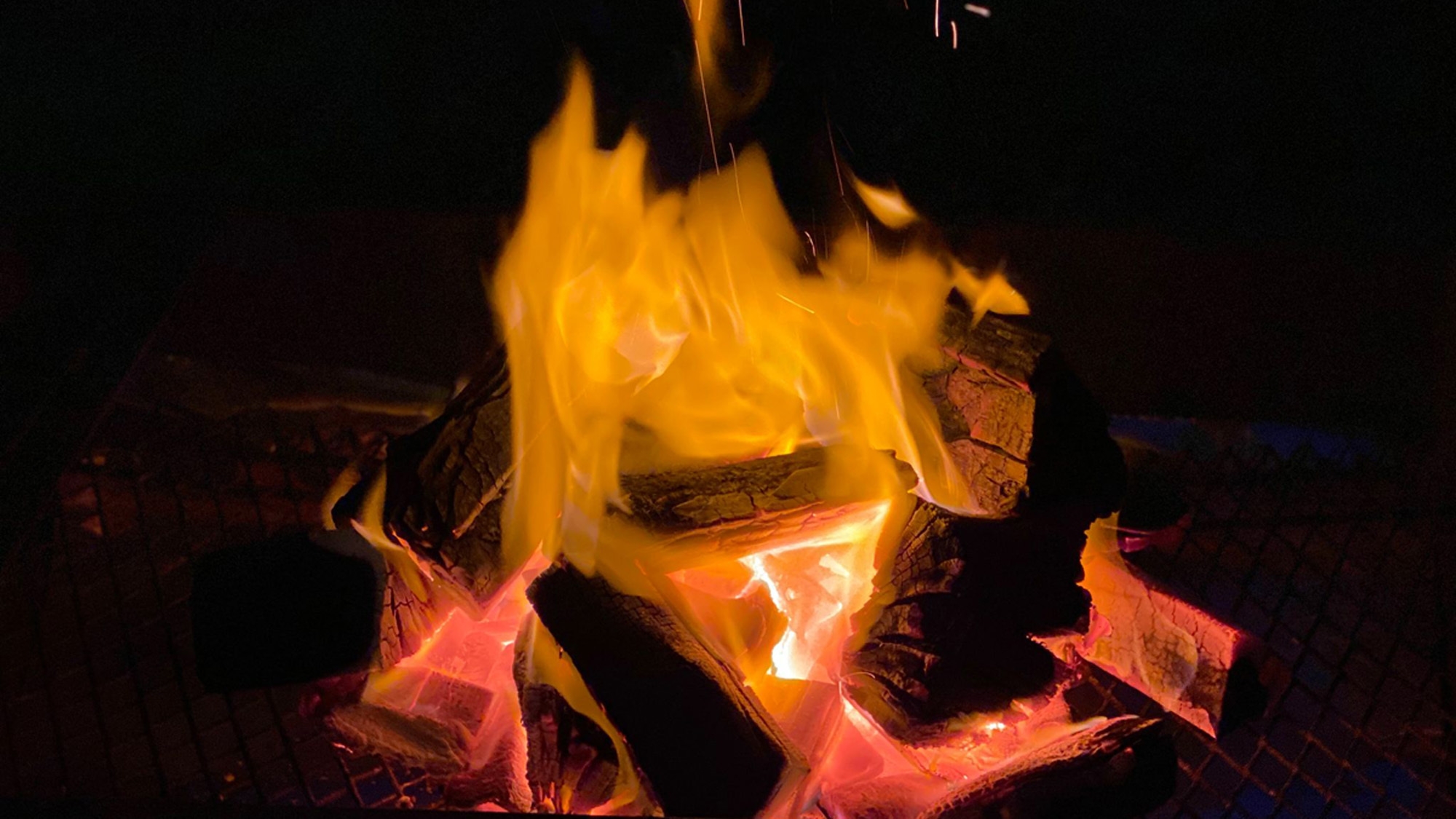 【秋限定★1日3組】紅葉シーズンの八幡平で炭火BBQ！杜仲茶ポーク＆秋の味覚＜2食付＞