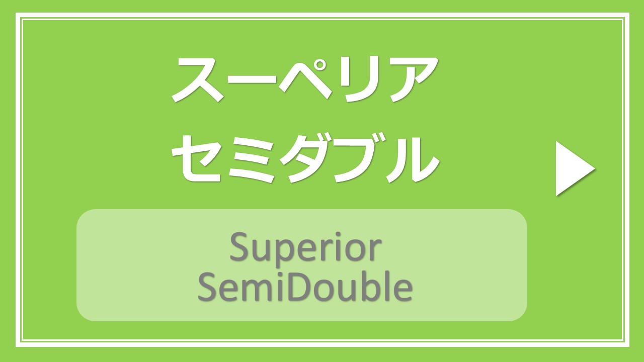 【禁煙】スーペリアセミダブル（約16㎡/ベッド幅120cm）